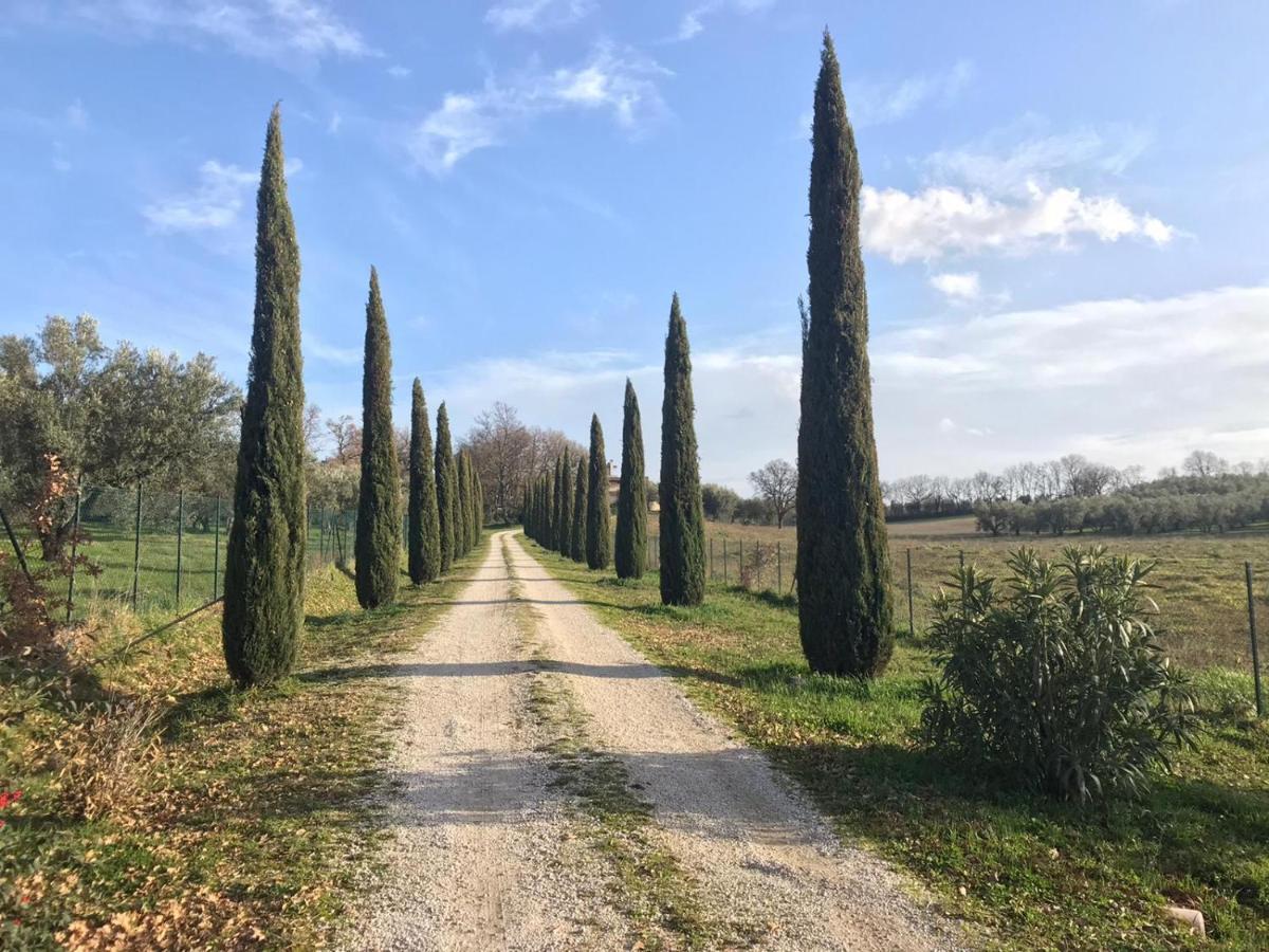 Agriturismo La Lampada Di Atena Vetralla Exterior foto